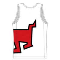 Core Run Singlet
