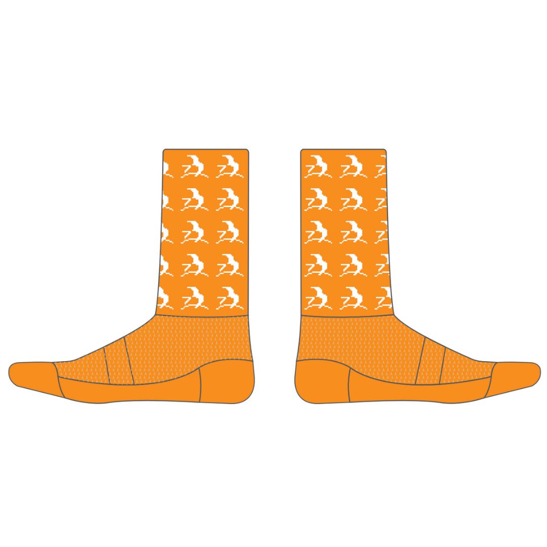 Classic Cycle Socks