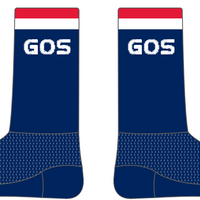 Classic Cycle Socks